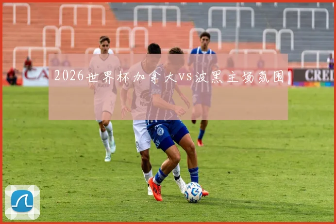 2026世界杯加拿大vs波黑主场氛围