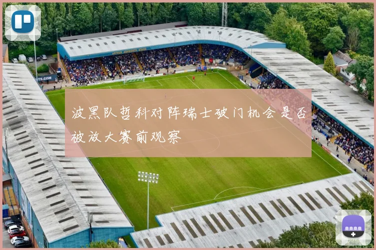 波黑队哲科对阵瑞士破门机会是否被放大赛前观察