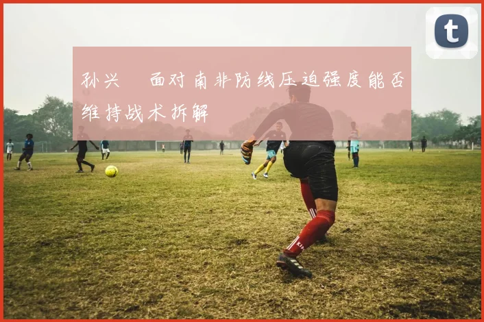 孙兴慜面对南非防线压迫强度能否维持战术拆解
