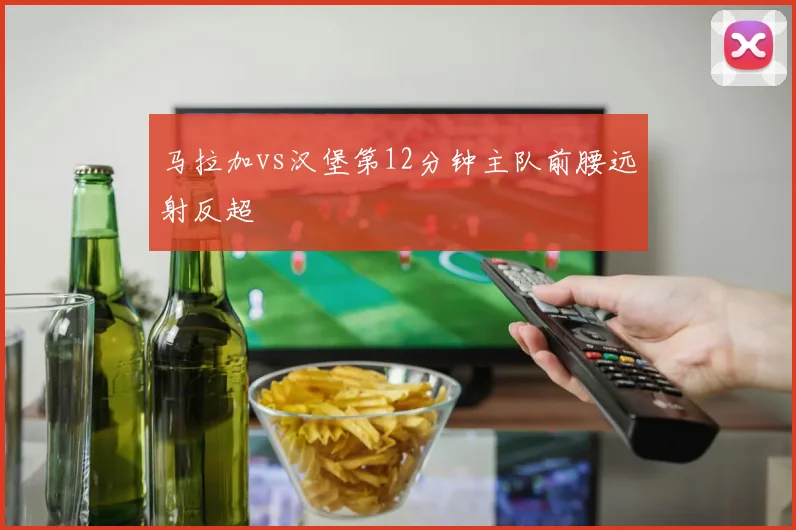 马拉加vs汉堡第12分钟主队前腰远射反超